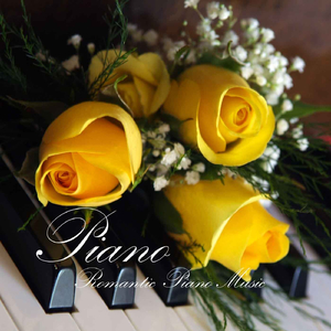 BWV 974 concert in D Minor: Adagio (After Alessandro Marcello)