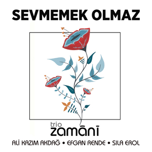 Sevmemek Olmaz (Qızlar Mahnısı)