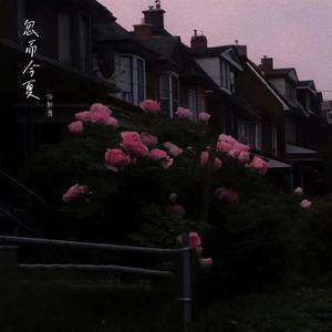 忽而今夏