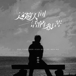 这趟人间活的很苦