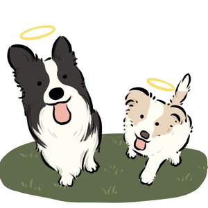 土坡上狗尾草（翻唱者天青）