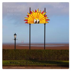 Songbird Slomo Robo (Hiem Remix)