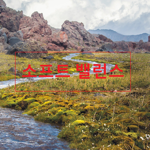 황혼의 빛에 대한 인식