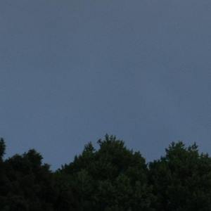 woo（prod.By moonVibe Store）