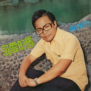 总有一天等到你 (重制版)