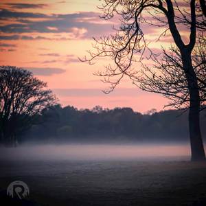 Where the Stream Sleeps