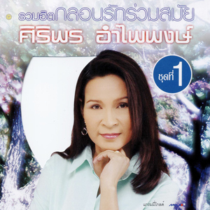 ล้างจานในงานแต่ง