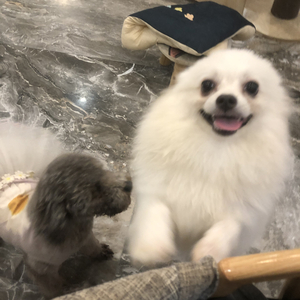 想把你留在这里