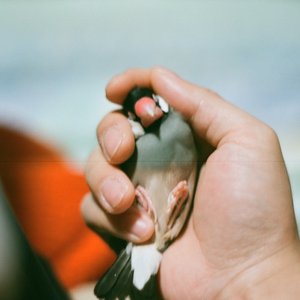 あなたとふたり