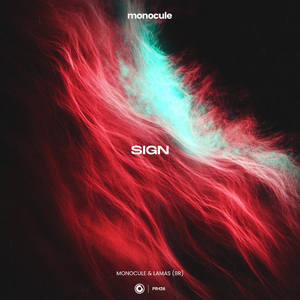 Sign (Extended Mix)