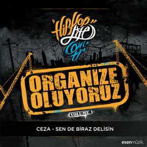 Sen de Biraz Delisin (Organize Oluyoruz Vol. 1)