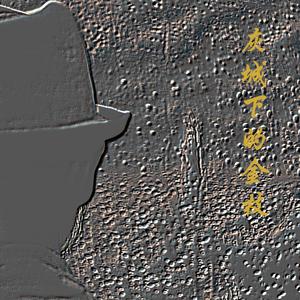 黑色的头发把城市编成了辫子 音乐版