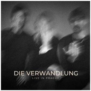 Der plötzliche Spaziergang (Live)