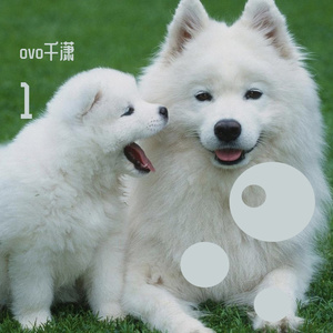 波