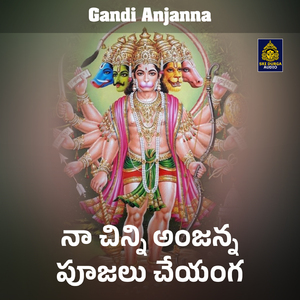 Naa Chinni Anjanna Poojalu Chayenga
