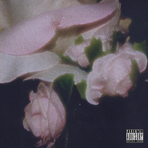 Cupidity (feat. Young Ryan G)