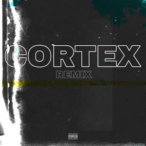 Cortex
