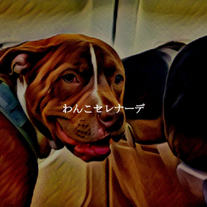 Warm Calming Concentrating