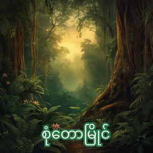 စုံတောမြိုင်