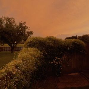 【FREE】"落叶" 氛围 x 情绪 x Gunna x lil peep Type beat