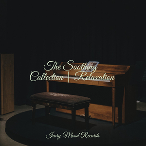 Melodic Liberation A Musical Journey