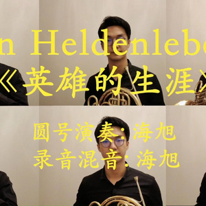 英雄的生涯：英雄的战场 Ein Heldenleben