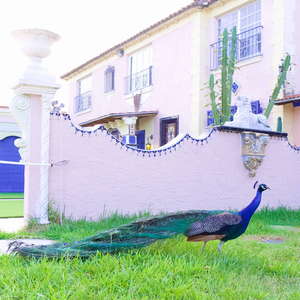 Iridescent (remix- Autosad)