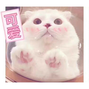 情话微甜（Cover 李朝&王圣锋）