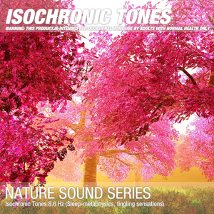 Isochronic Tones 8.6 Hz (Sleep-metaphysics, tingling sensations) 06