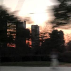 拥有礁石的身份