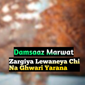 Zargiya Lewaneya Chi Na Ghwari Yarana