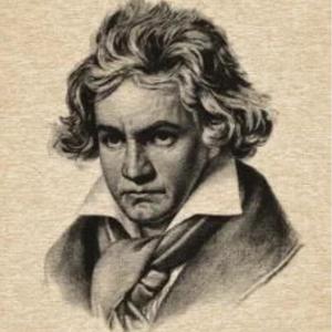 Ludwig van Beethoven-贝多芬第23鸣奏曲（琵琶）（王隆杰 remix）