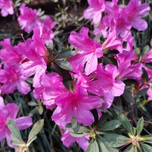 一起奔向未来（男声 动动舞曲B调旋律）