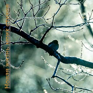 Шепот и его эхо