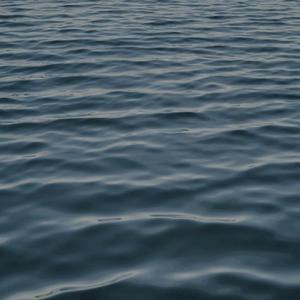 亦是此间少年(demo)-枯木逢春