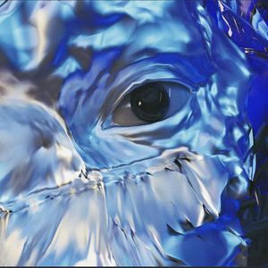 岗底斯DNAfreestyle