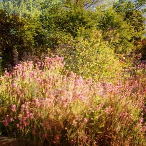 Trazos (feat. Naxowo)