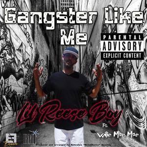 Gangter Like Me (feat. Lil Reese Boy, Phat Sack & Willie Moe Moe)