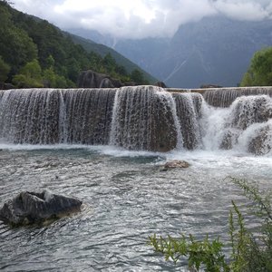 鸽子（Cover 徐秉龙）
