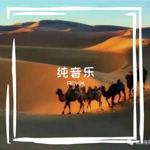 加勒比海盗--弹布尔版