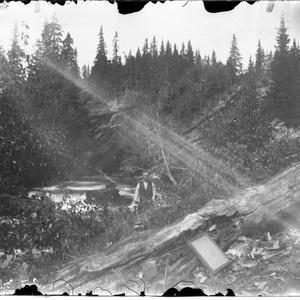 Dillusional Ambassador