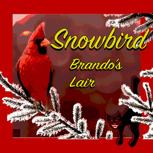 Snowbird