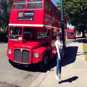 如愿（cover王菲）（翻自 曼吧范德萨）