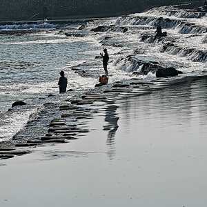 我若提笔写家书