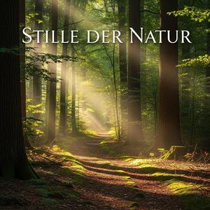 Traum aus Wasser