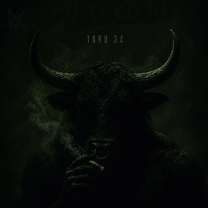 WHO'S TORO?