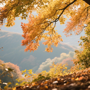 多少缘分变成路人