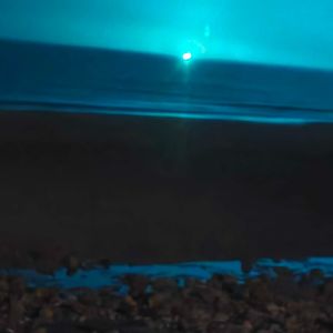 我现在过得很好