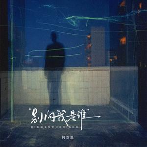 别问我是谁 (DJ版)