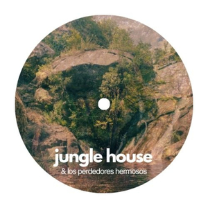 jungle funk assault